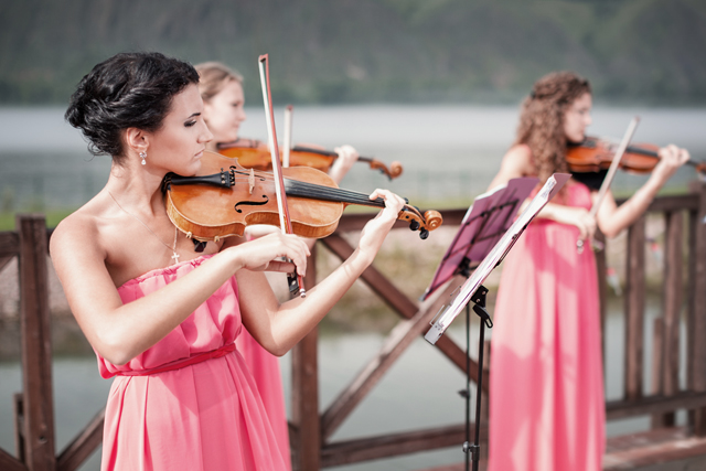 all inclusive dj services